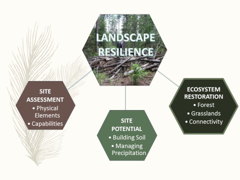 Building Ecological Resilience – TerraFlora